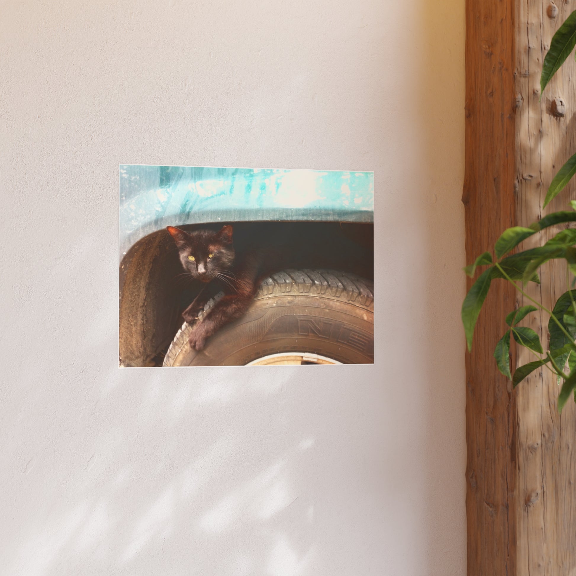 Hillbilly Black Cat Satin and Archival Matte Poster