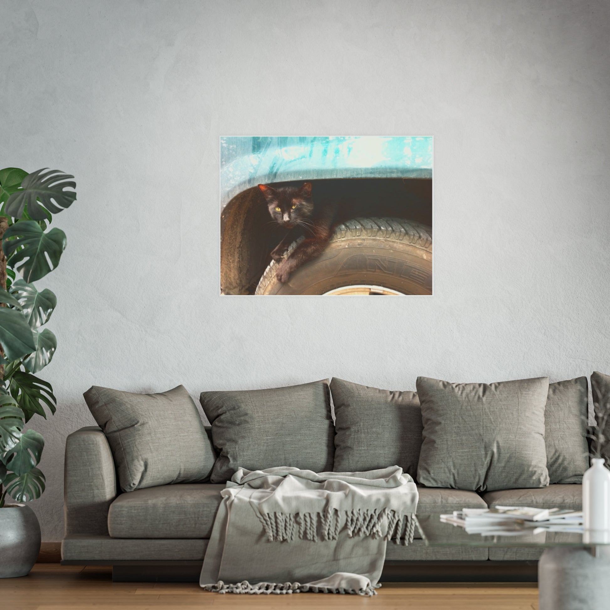 Hillbilly Black Cat Satin and Archival Matte Poster